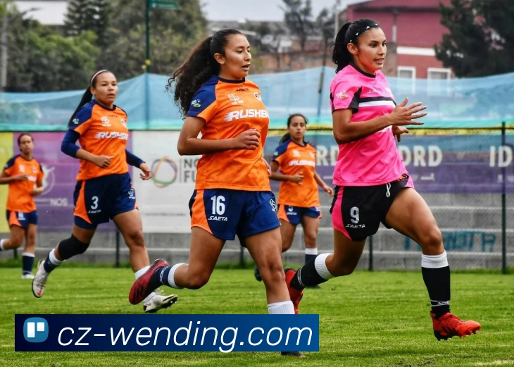 App Interface Preview