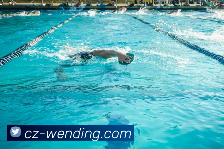 问鼎娱乐下载APP 封面图